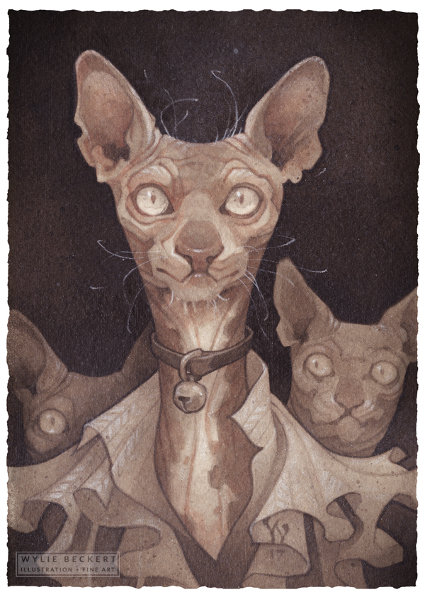 Costly Thy Habit: hairless Sphynx cat illustration. art by Wylie Beckert